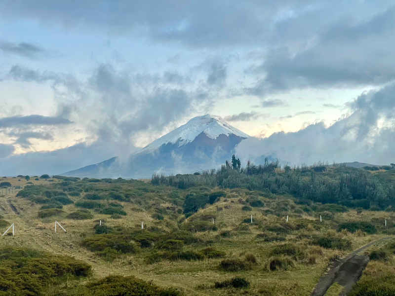 3D Gaussian Splat fallback