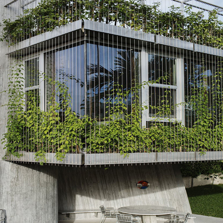 Invisible Grill for Bird Control in Balcony and Windows in Ranchi