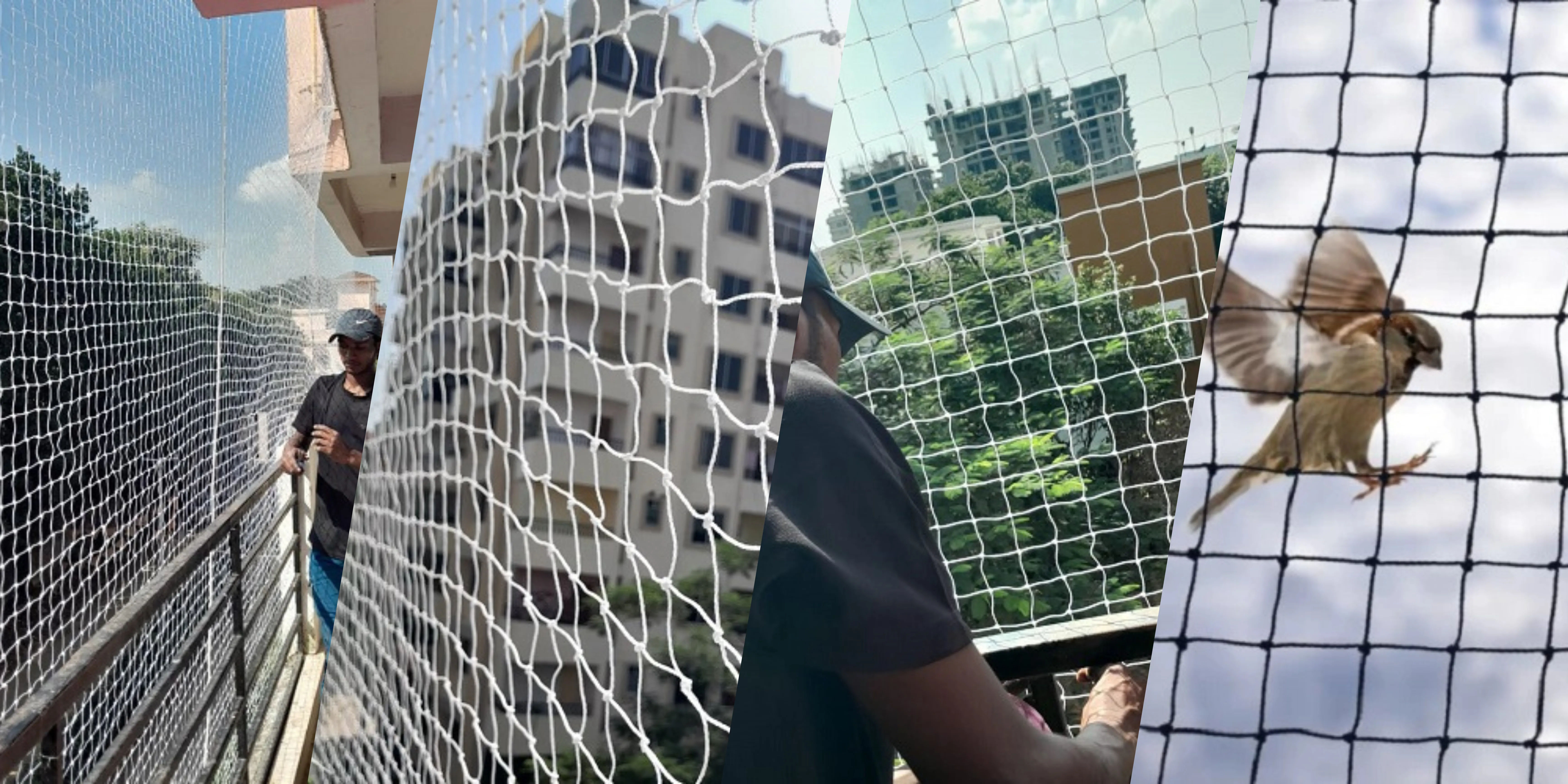 Anti-bird netting installation