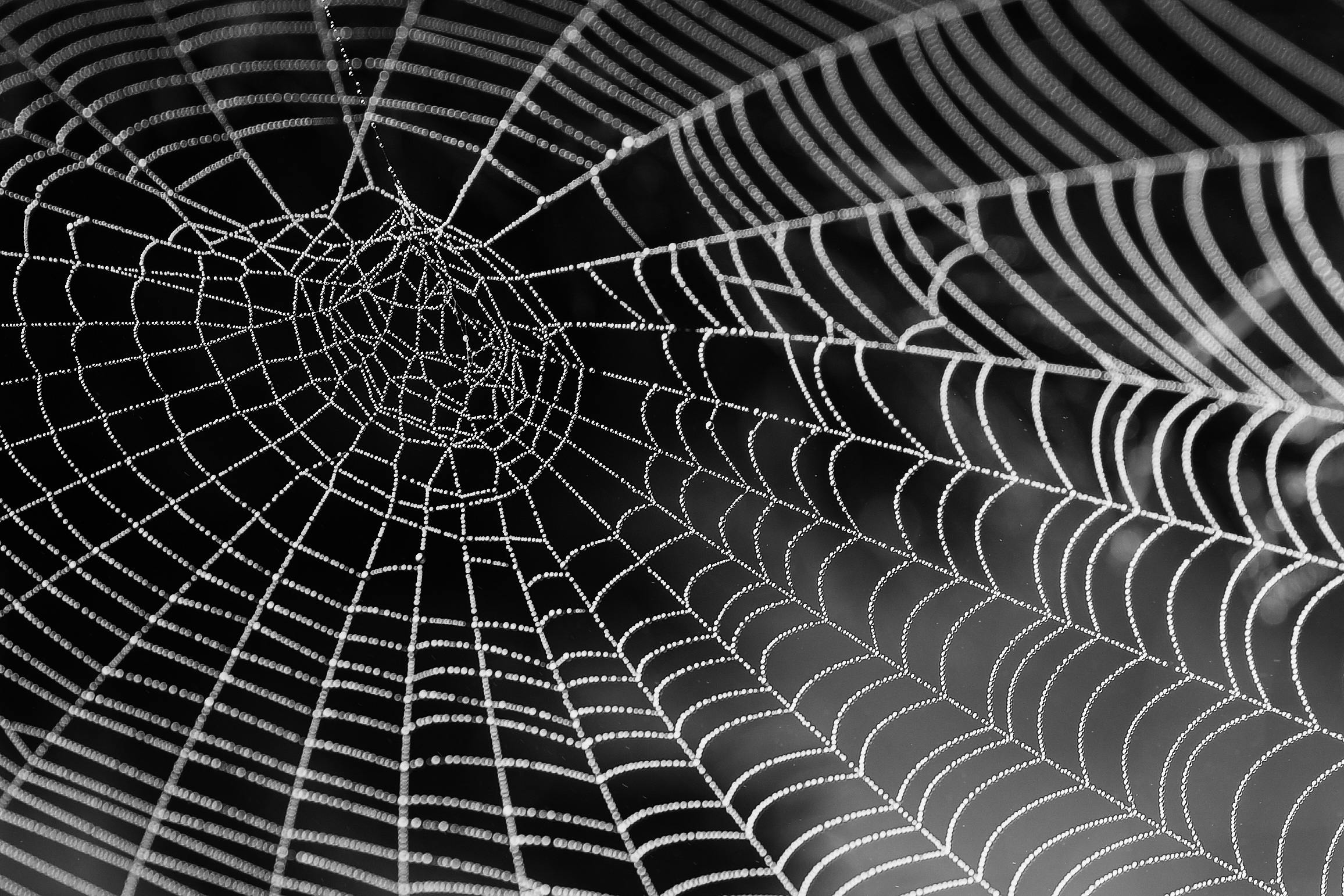 Pexels Pixabay 34225 (1)