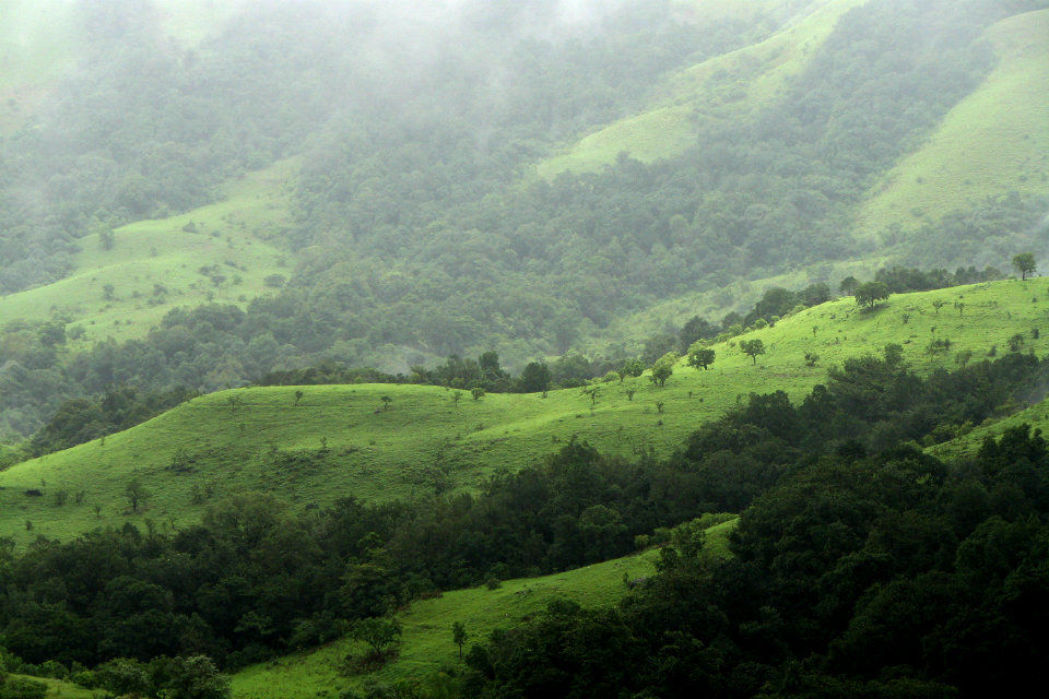 Kudremukh National Park