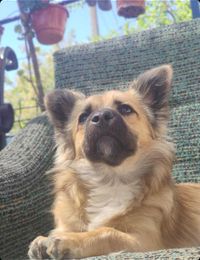 Connect alex 2 neagos 2