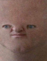 Connect Florin Tapp2