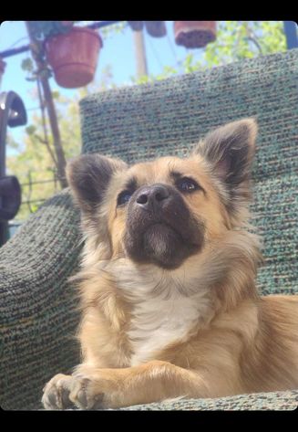 Selfie of alex 2 neagos 2