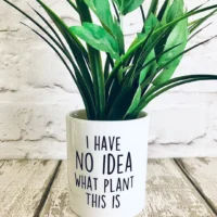 Sublimation Pot Mug with plant