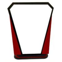 Sublimation Trophy 01