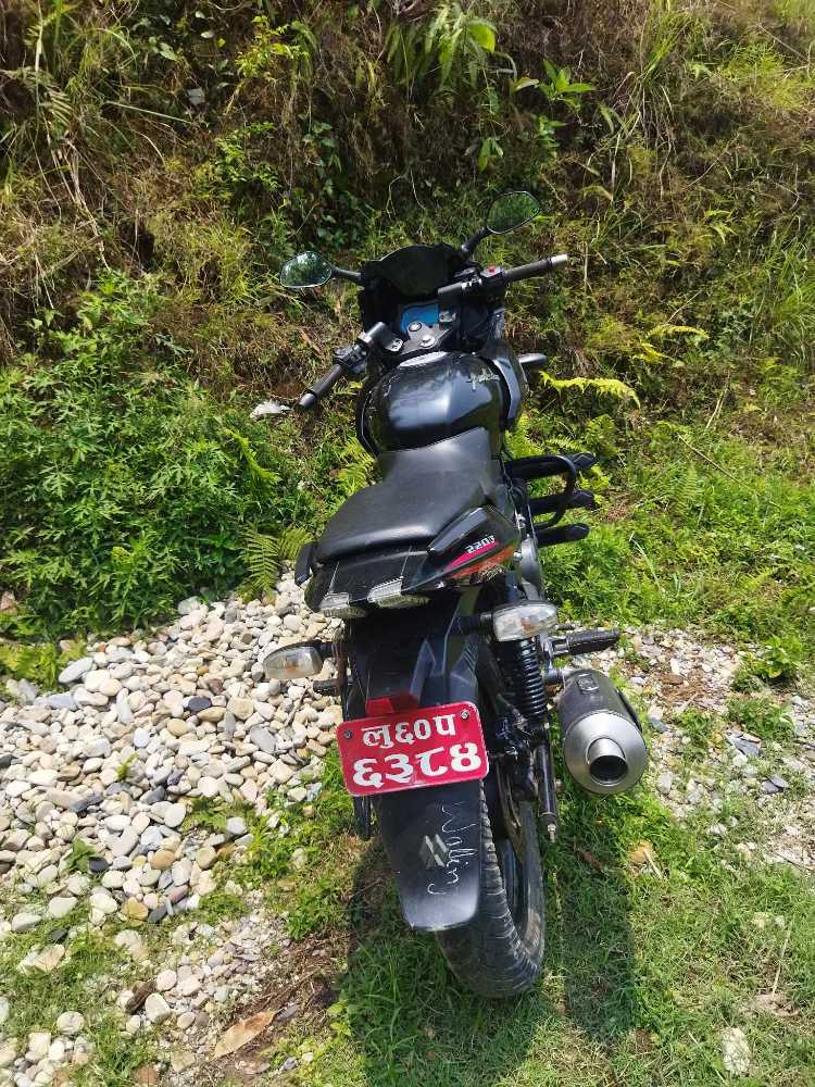 Used 2020 Bajaj Plusar 220 bike for sale in Syangja - Image 1 of 2