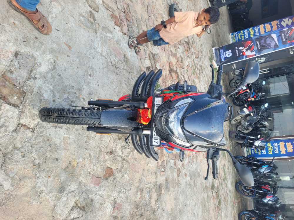 Used 2025 Bajaj Pulsar 125 bike for sale in Saptari - Image 3 of 4