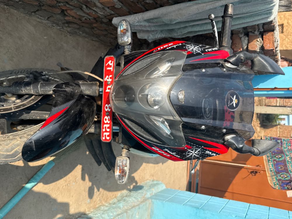 Used 2019 Bajaj Plusar 220 for sale in Dang Deukhuri, - Rs.190,000