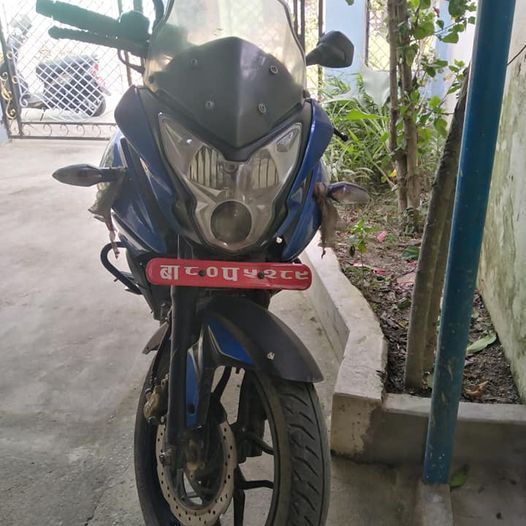 Used 2015 Bajaj Pulsar 200 AS bike for sale in Dharan - Image 4 of 5