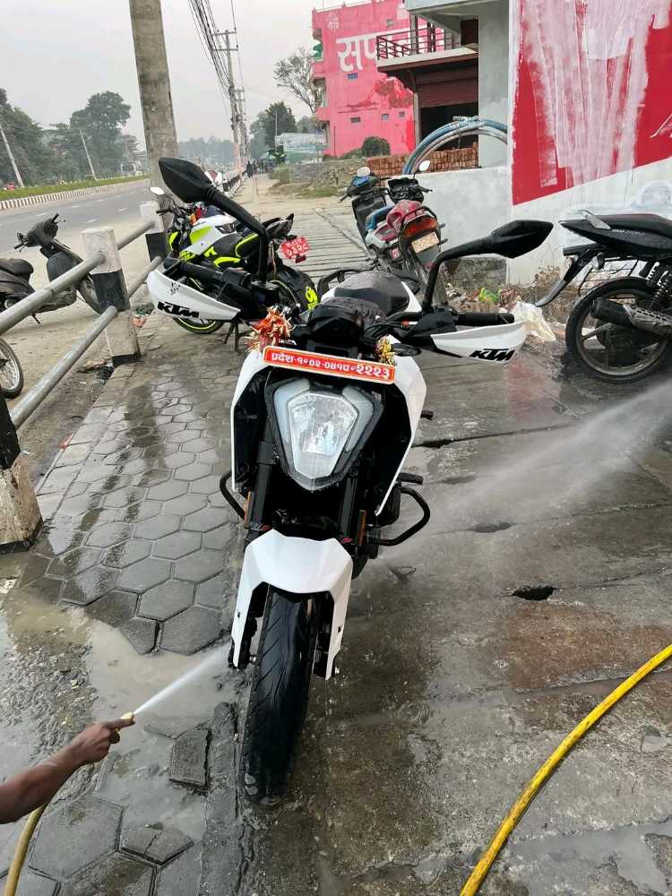 Used 2019 KTM Duke 250 bike for sale in Biratnagar - Image 4 of 4