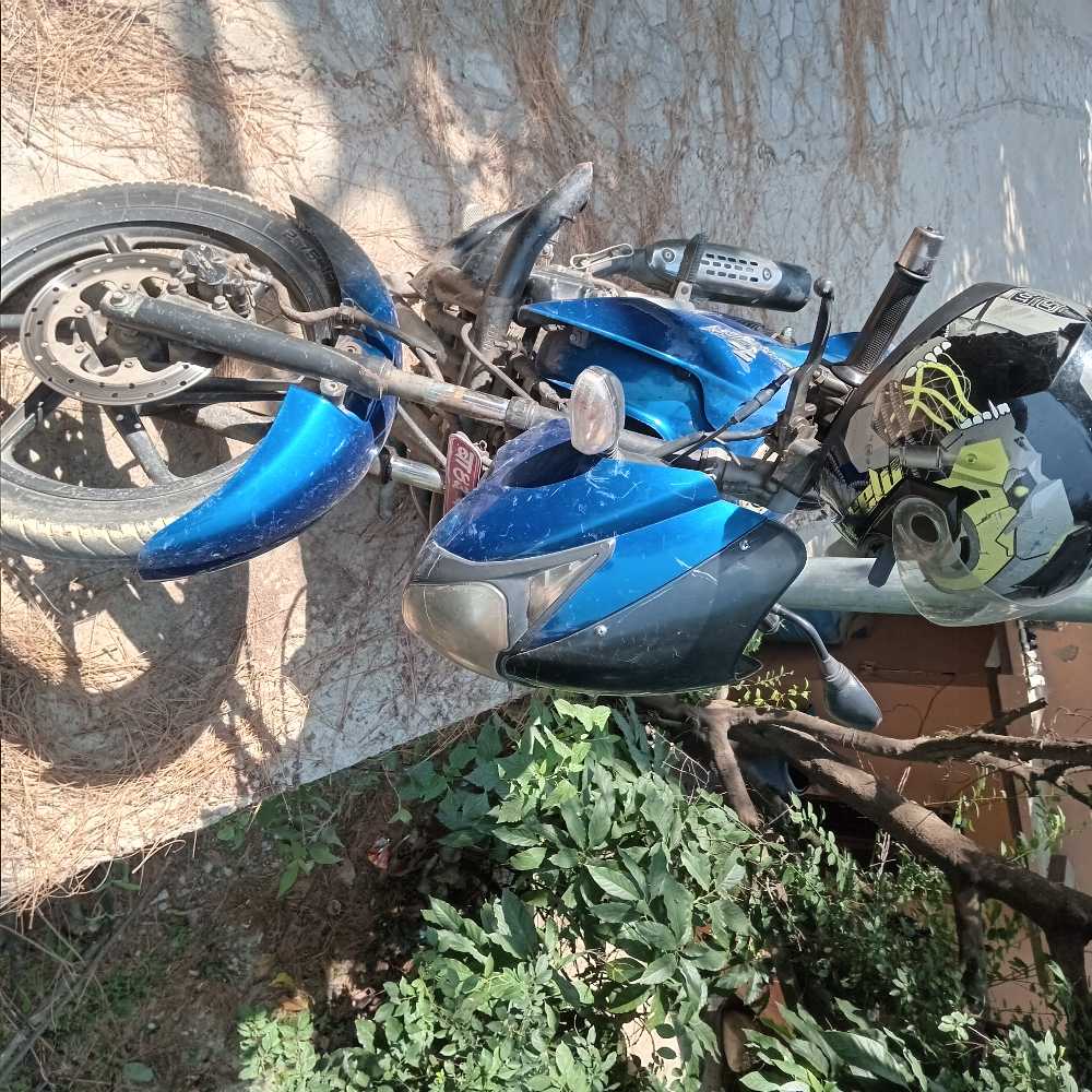 Used 2010 Bajaj Plusar 150 bike for sale in Kathmandu - Image 3 of 3