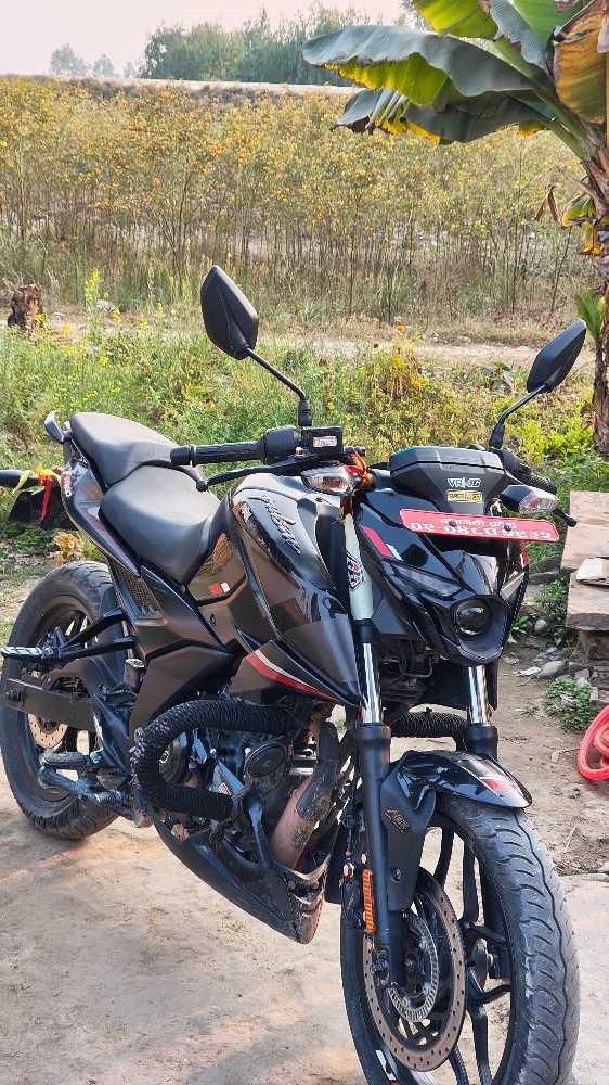 Used 2023 Bajaj NS 160 bike for sale in Kathmandu - Image 2 of 3