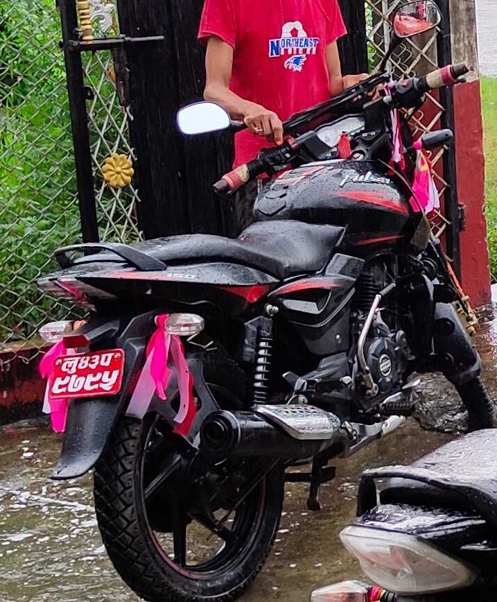 Used 2019 Bajaj Plusar 150 bike for sale in Butwal - Image 1 of 1