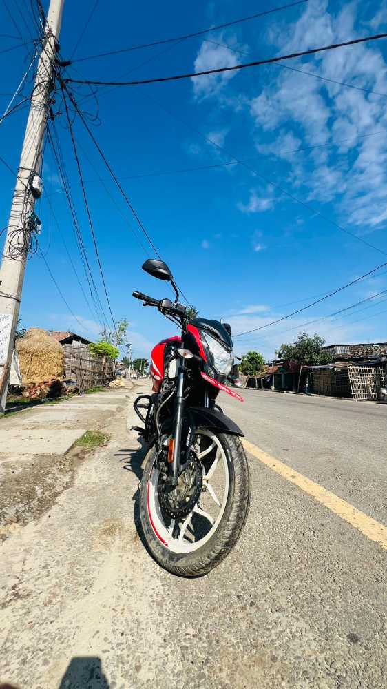 Used 2023 Bajaj NS 160 bike for sale in Saptari - Image 5 of 6
