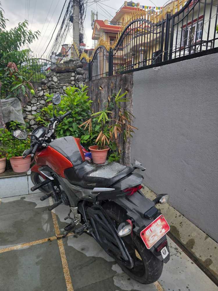 Used 2016 Honda CB Hornet bike for sale in Kathmandu - Image 2 of 2