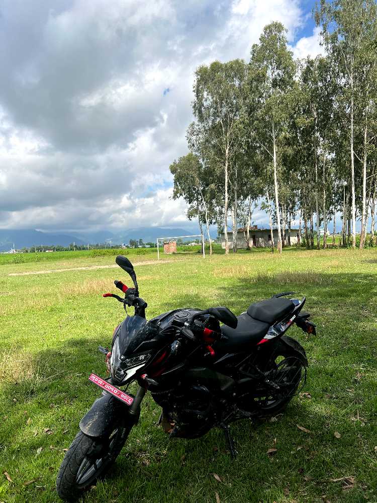 Used 2025 Bajaj NS 200 for sale in Dang Deukhuri, - Rs.400,000