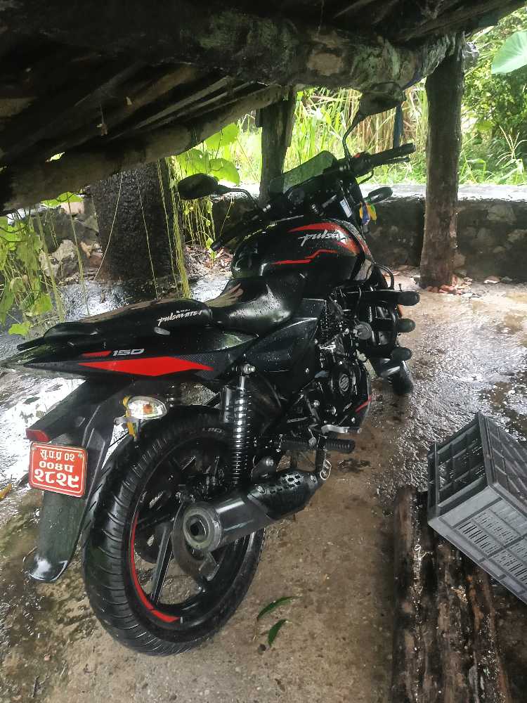 Used 2023 Bajaj Plusar 150 bike for sale in Mahendranagar - Image 1 of 1