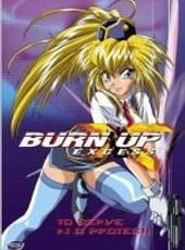 Burn Up Excess