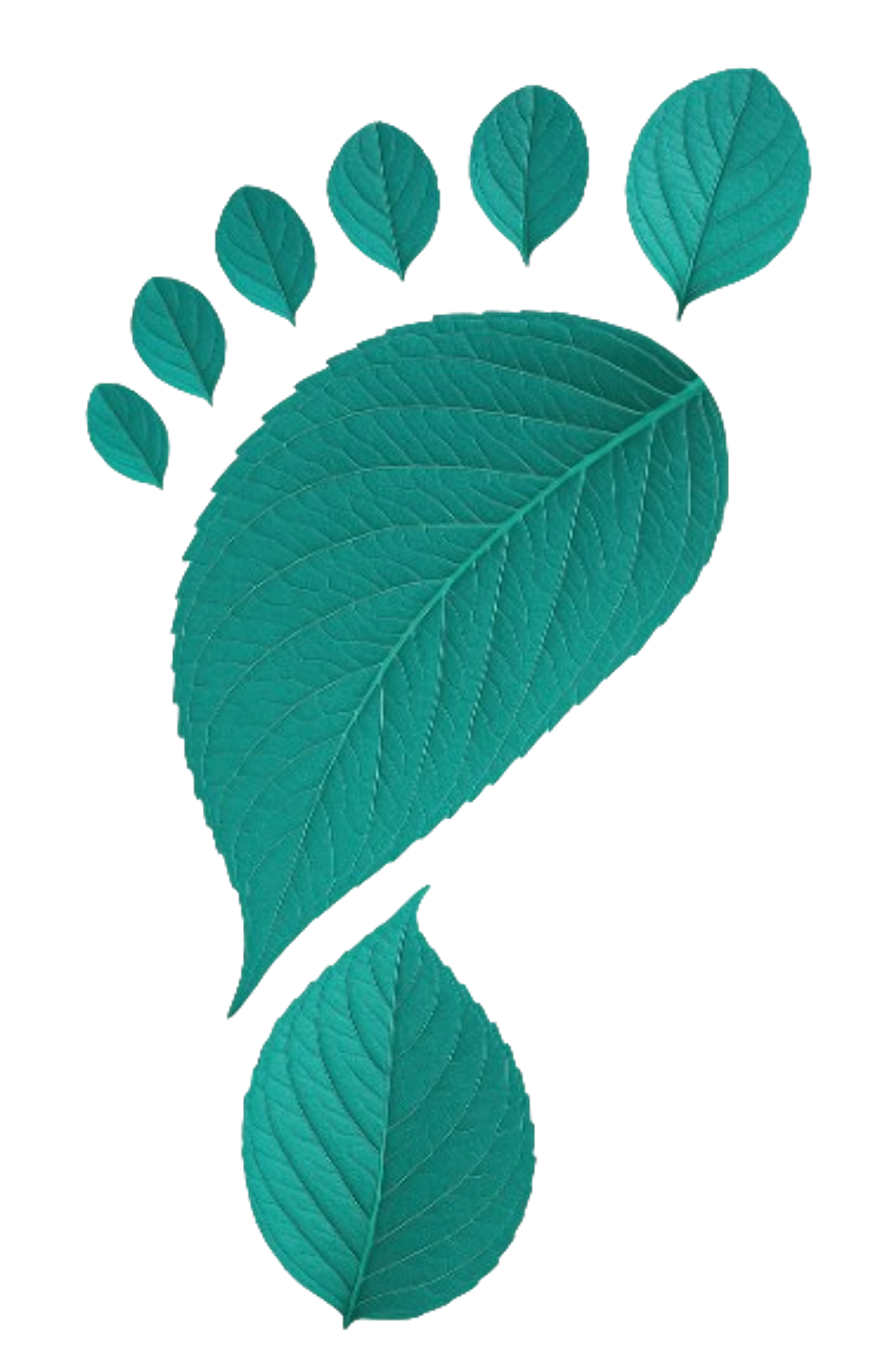 Footprint