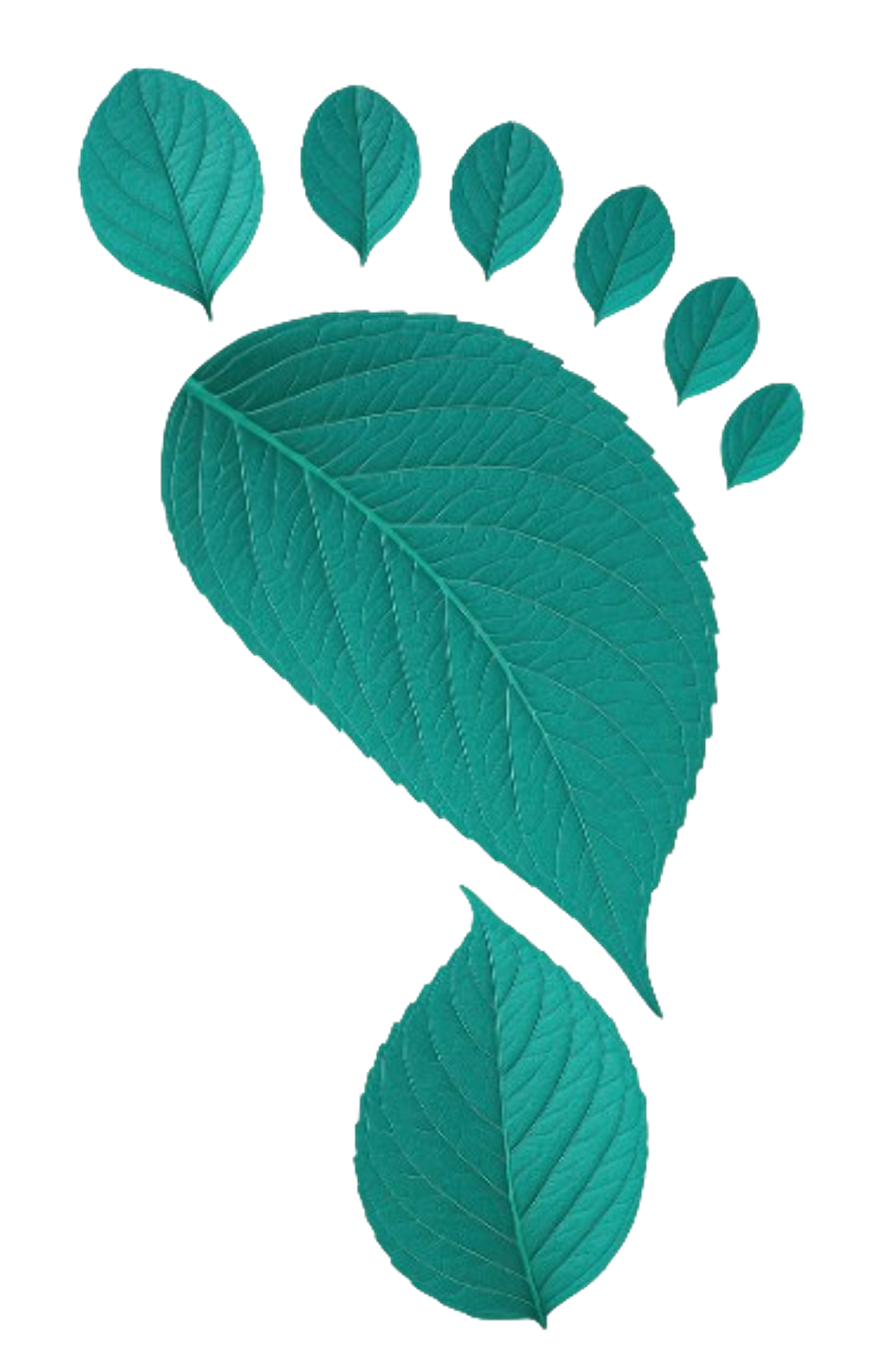 Footprint
