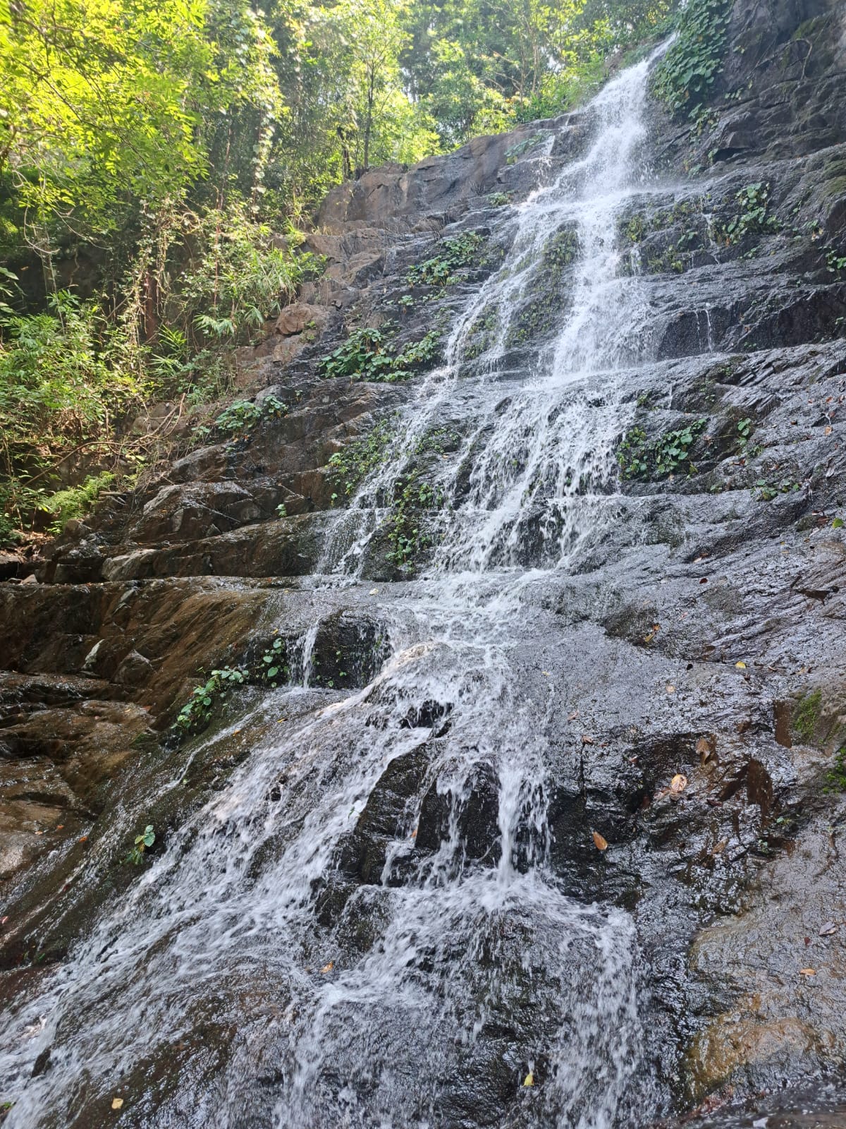 Scenic tour experience