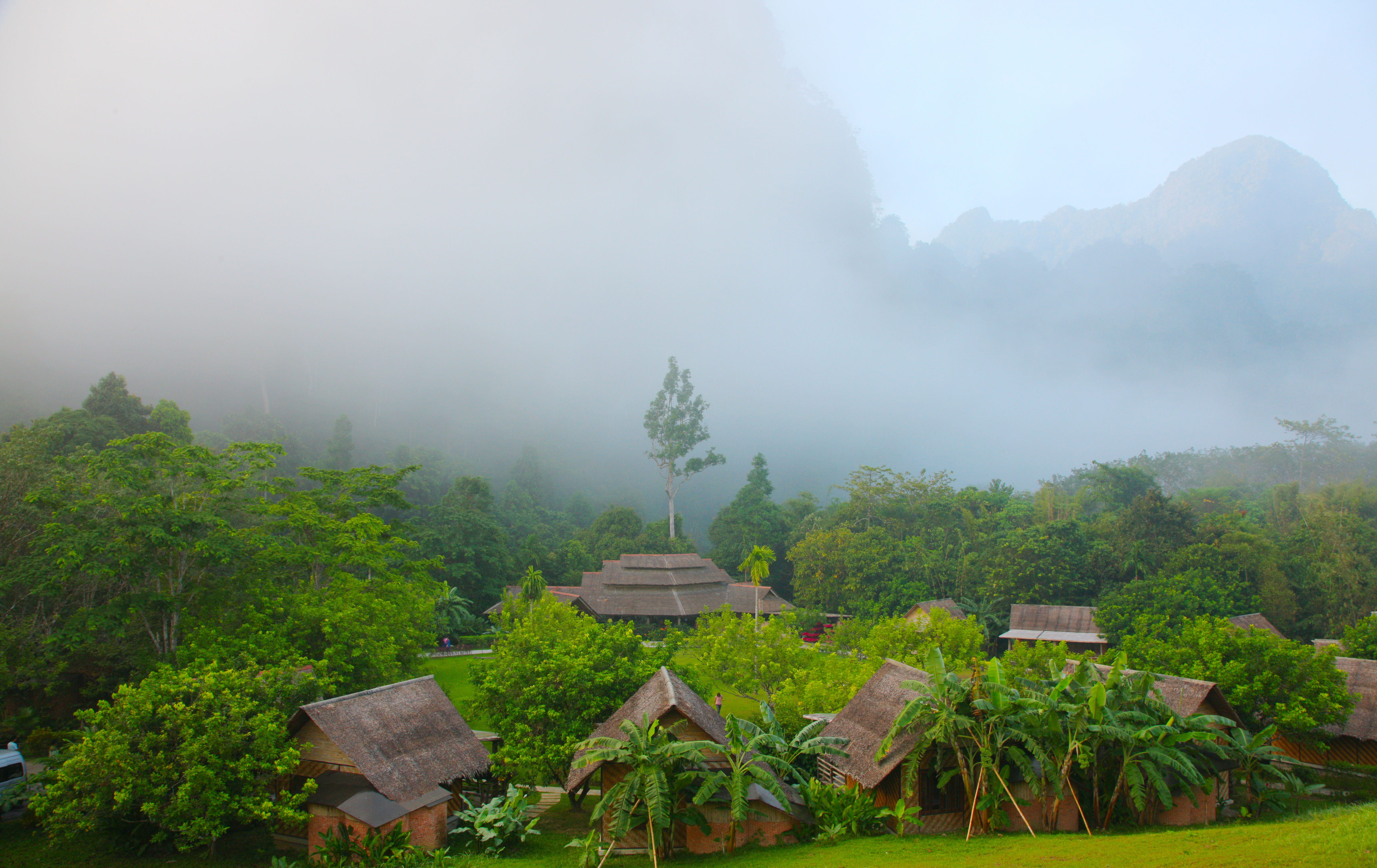 Homestay experience
