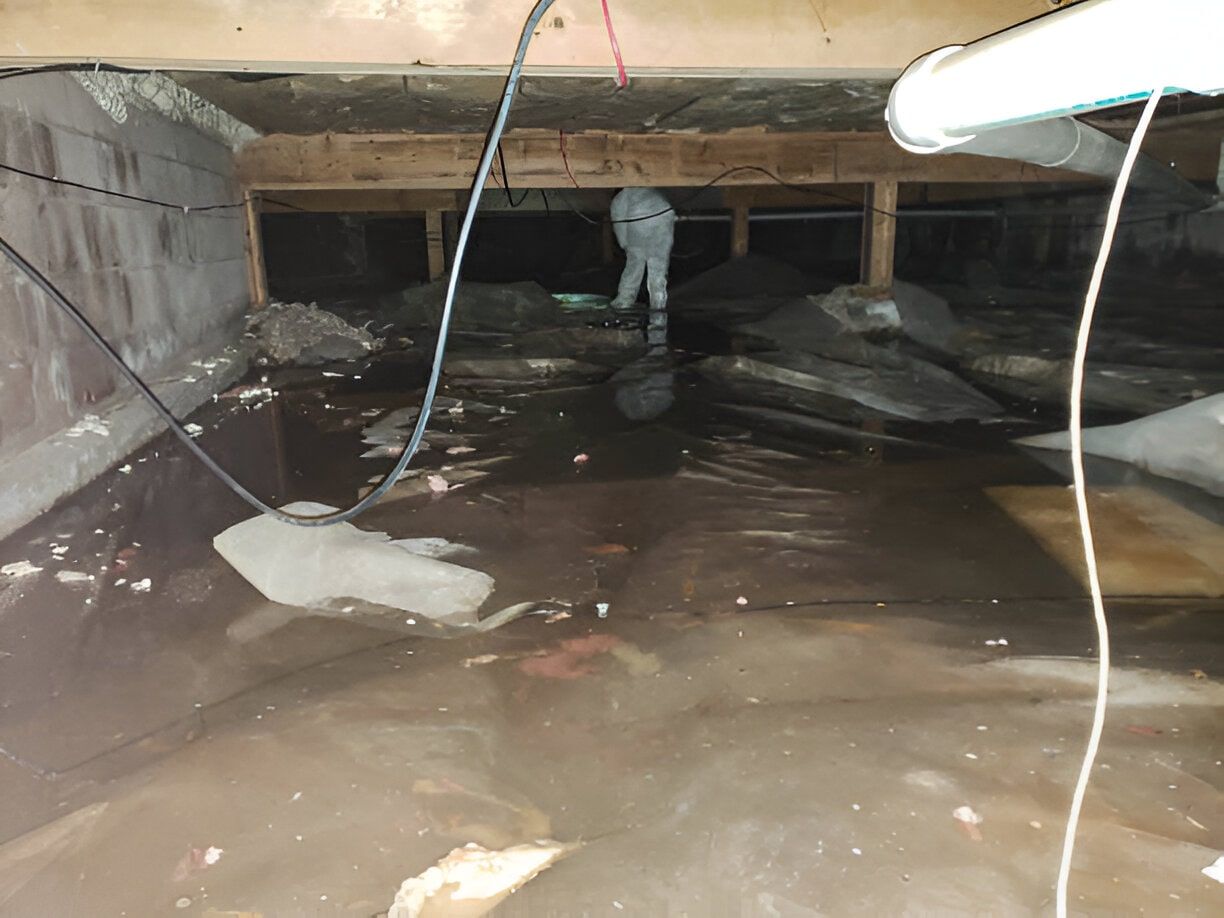 Emergency Sewage Cleanup