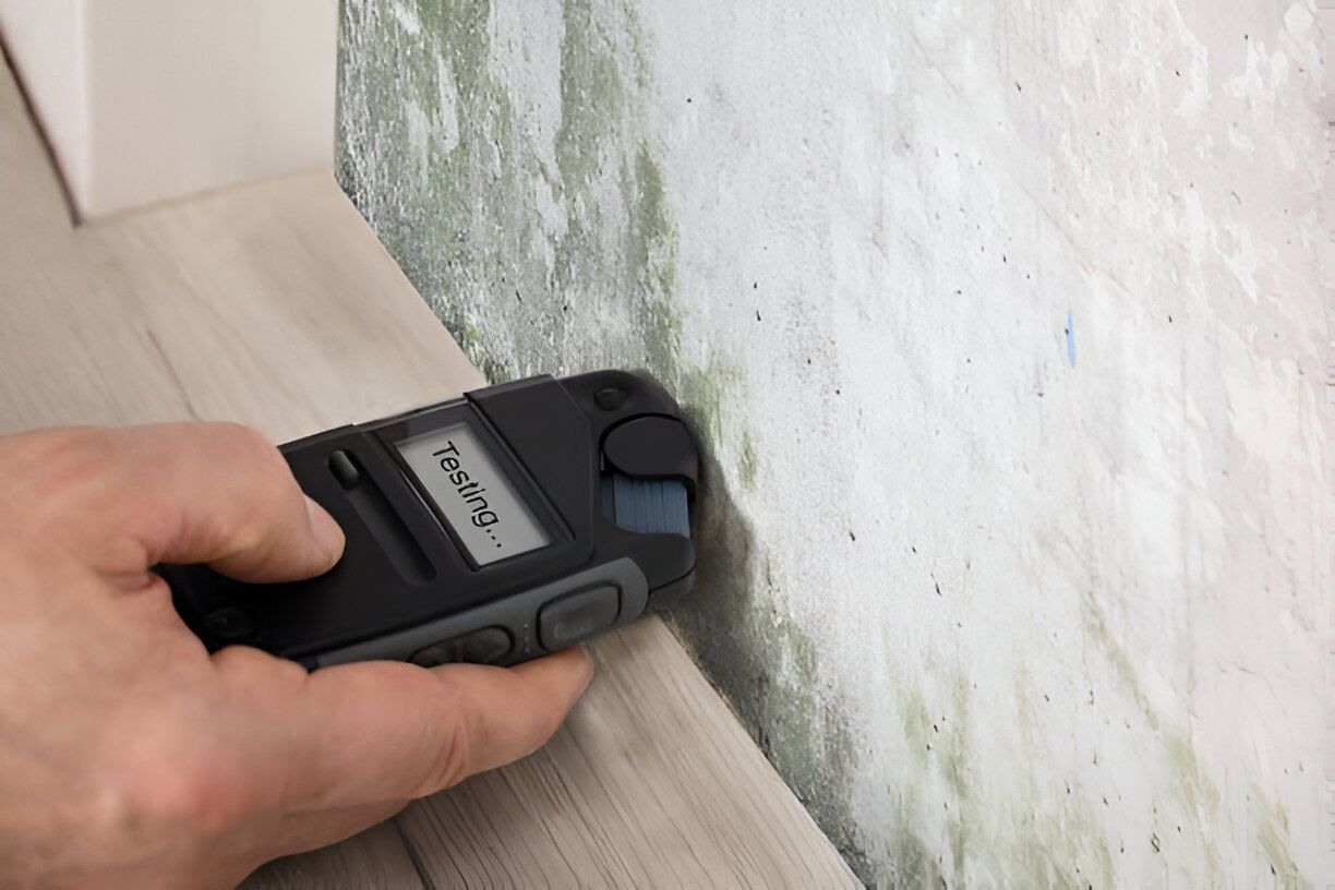 Mold Testing