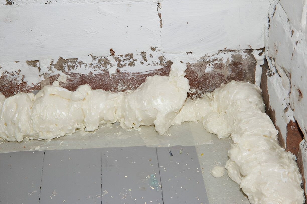 Crawl Space Mold Removal