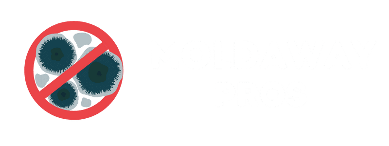 MoldAway Pros Logoin Madelia, Minnesota