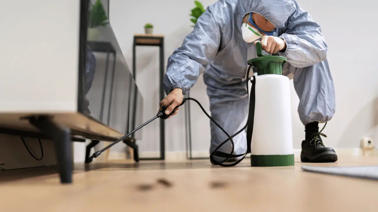 Professional Pest Control Services in Havre