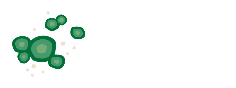 Mold Defenders Mold Fogging Logoin Hayward, California