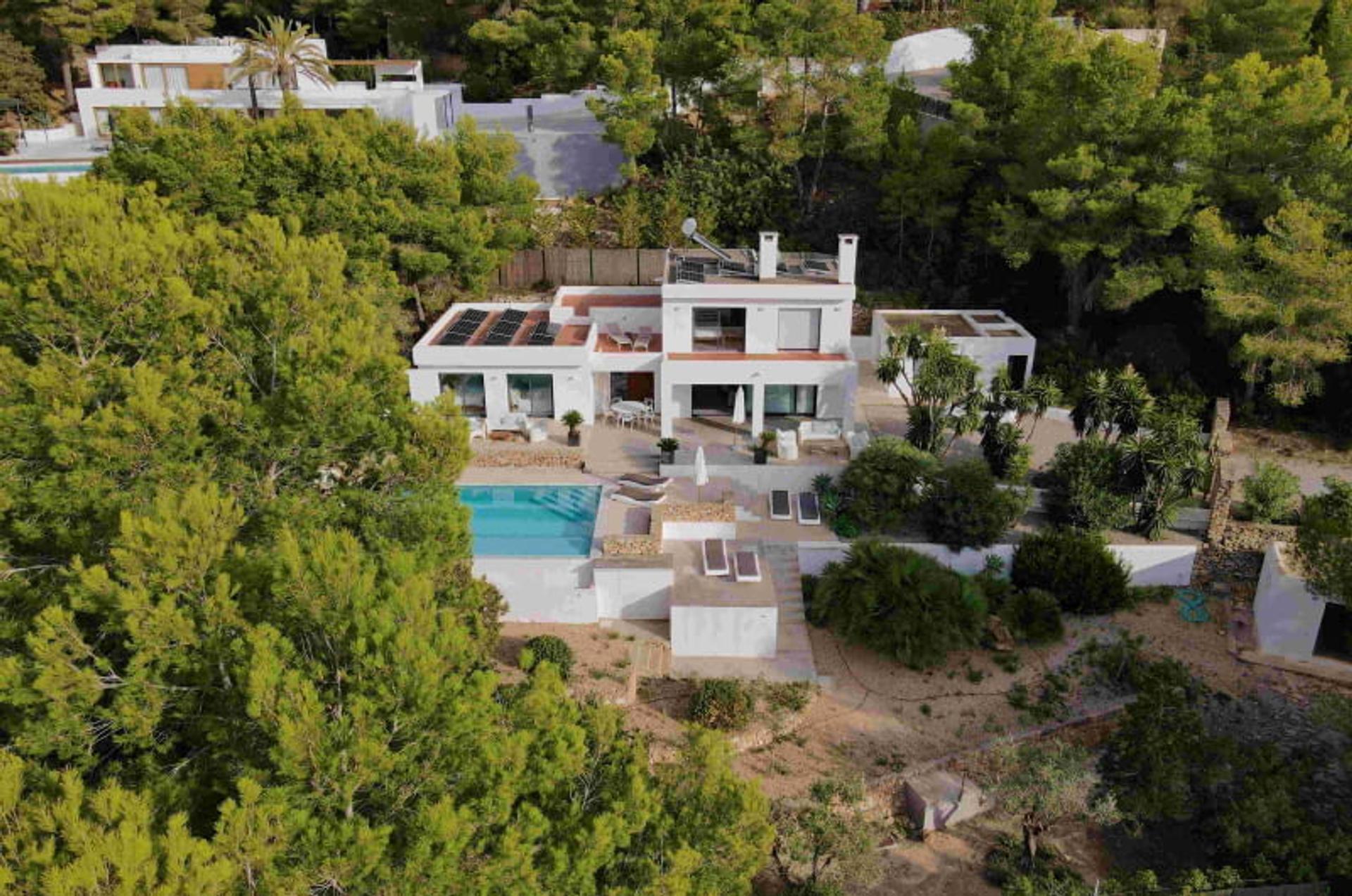 Las Palomas