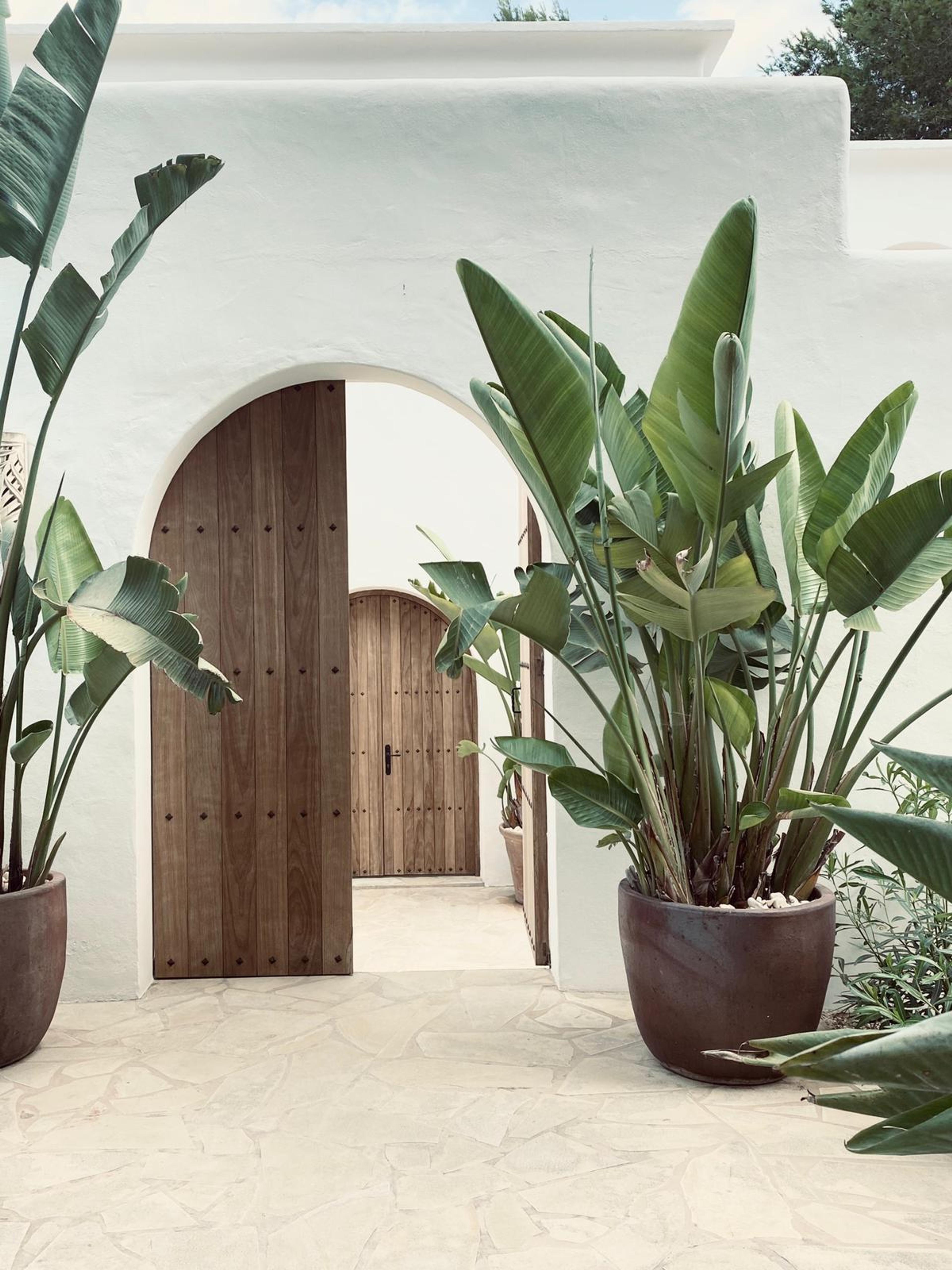 House image 3