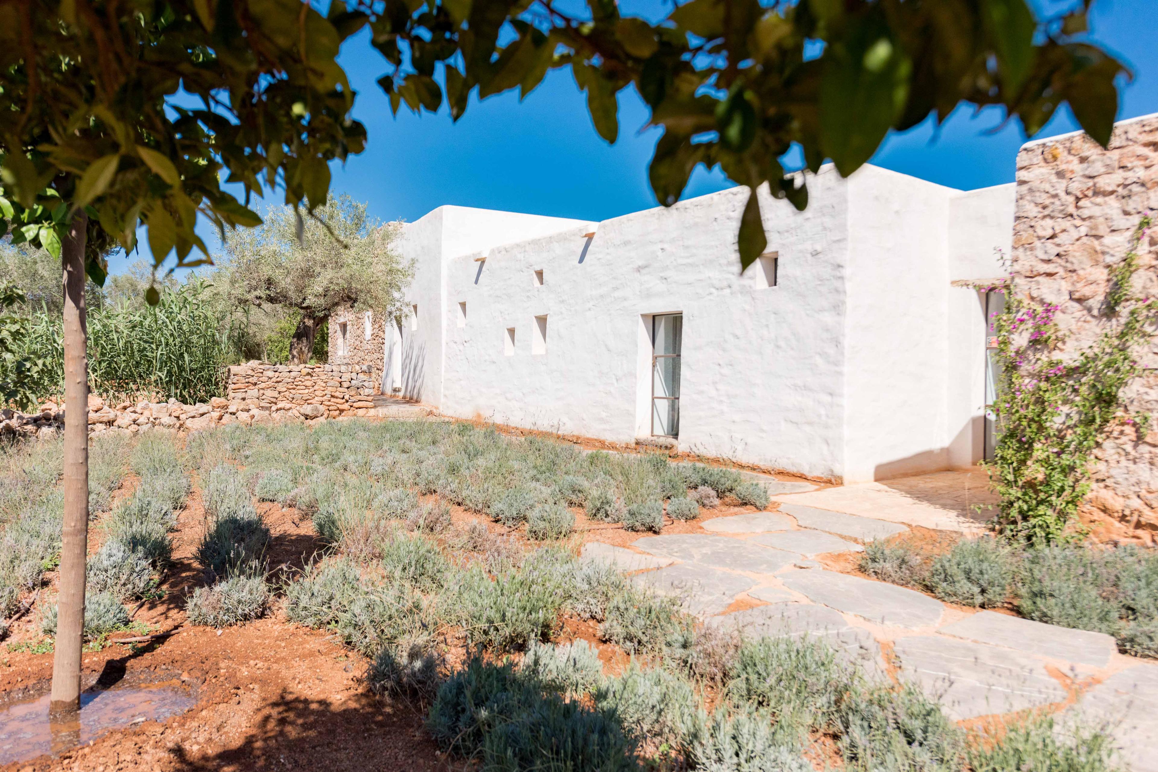 House image 3