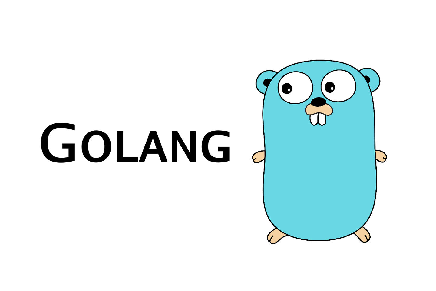 What is Go? Golang Programming Language Meaning Explained