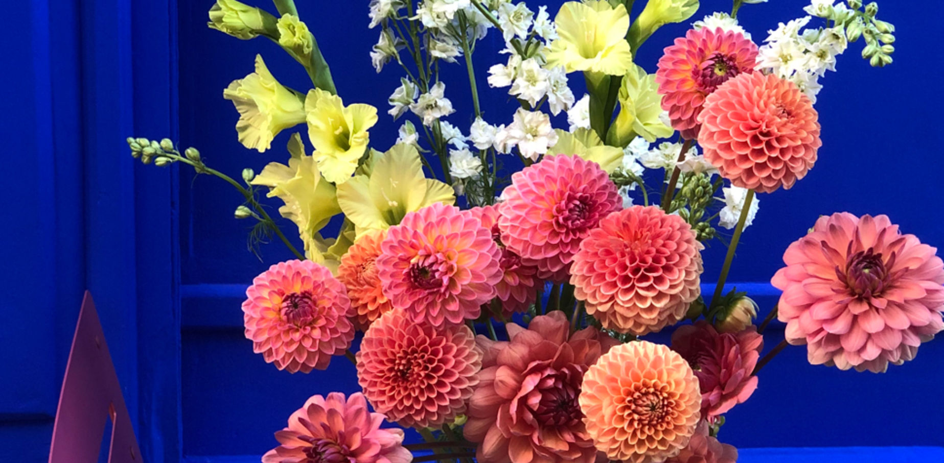 Gros plan sur un bouquet de fleurs aux tons roses, violets et blancs, tenu par une personne.