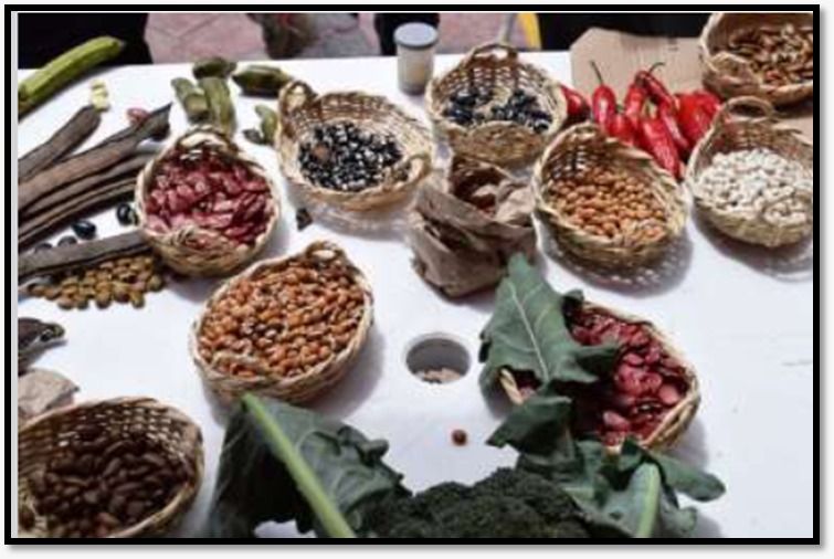 Red de Asociaciones de Shagreros