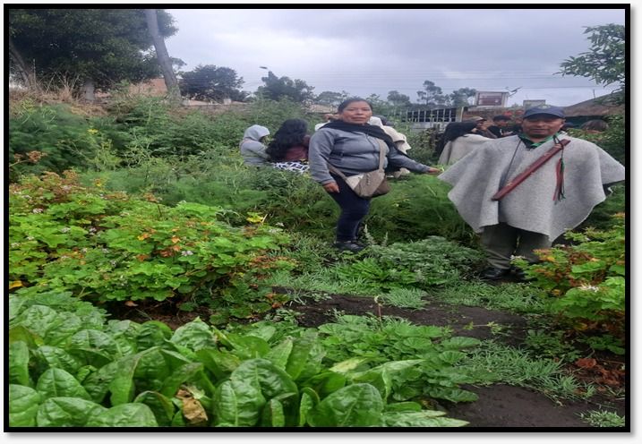 Trabajo Comunitario y Minga