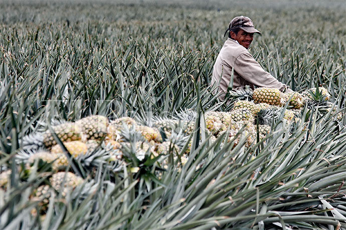 Fertilizante NitroUan 320VX