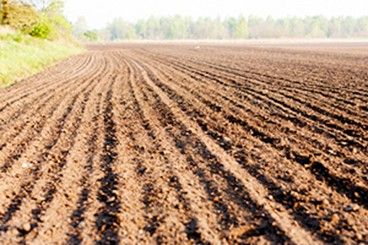 Cultivo agrícola visto desde arriba
