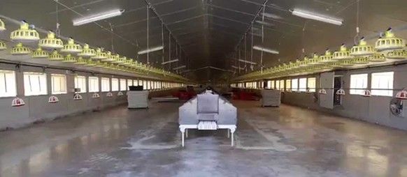 Laboratorio y desarrollo de productos desinfectantes