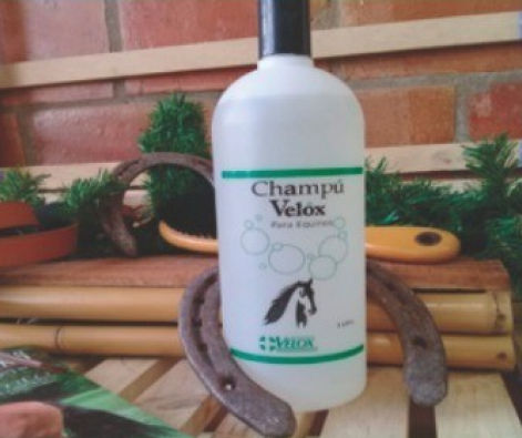 Champú Velox para equinos
