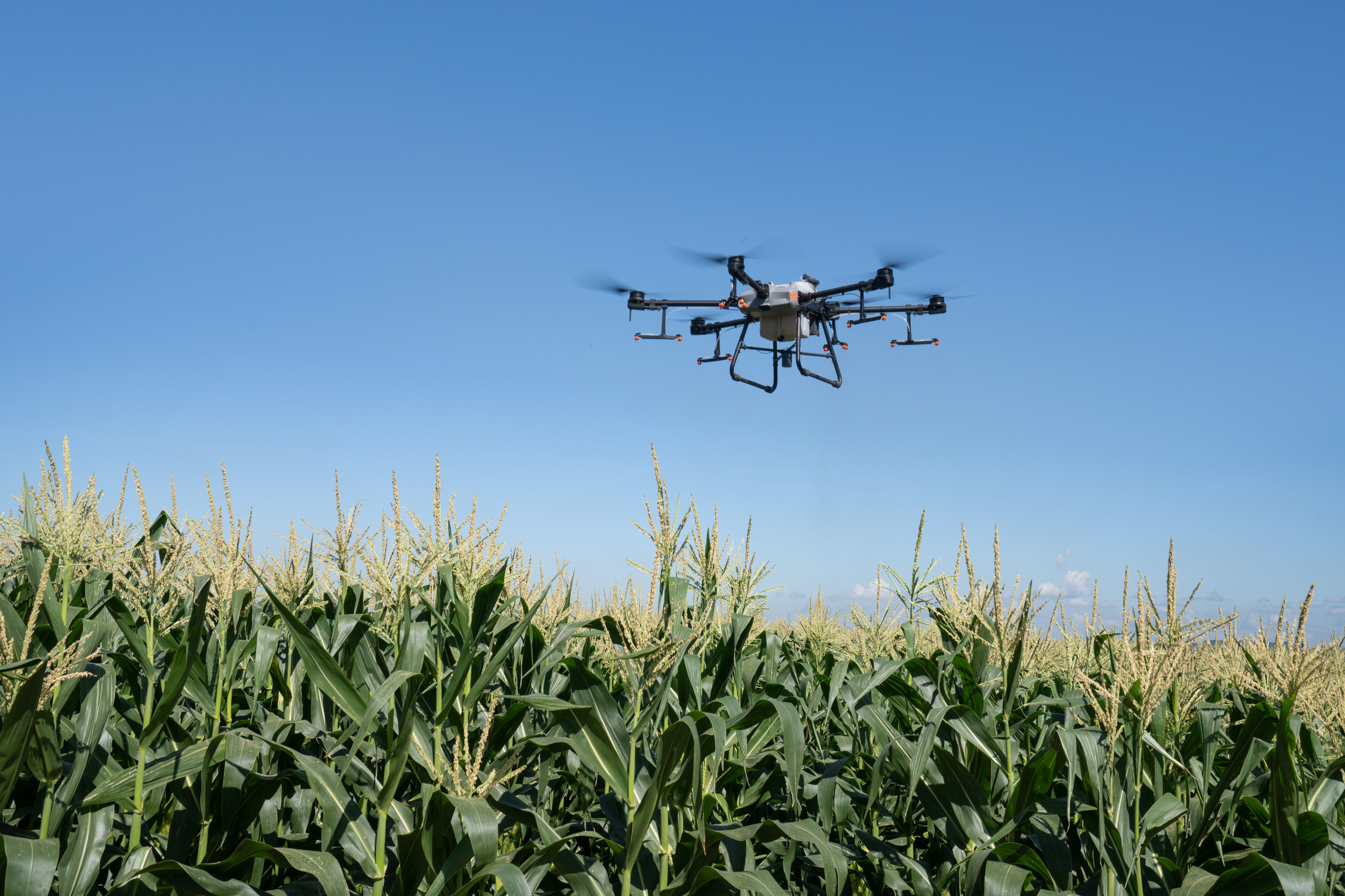 Crop Intelligence
