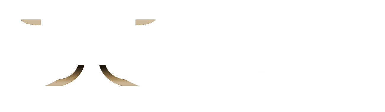 Theory Forge Ventures Logo