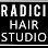 Radici Hair Studio Logo