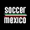 Soccer Mexico Logo