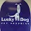 Lucky Dog Pet Grooming Logo