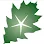 OakStar Bank Logo